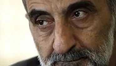 "تیم هسته ای تحت تاثیر فتنه گران است"