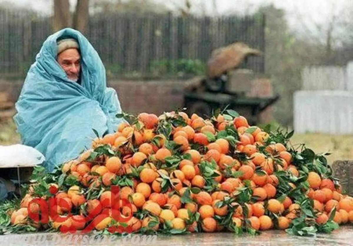 بابا تا کی باید نان بدهد؟
