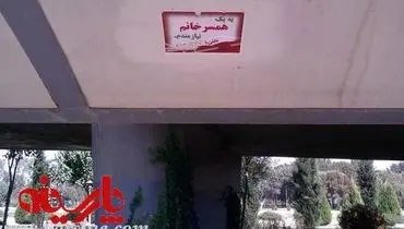 عکس/ آگهی درخواست همسر خانم یک ایرانی!