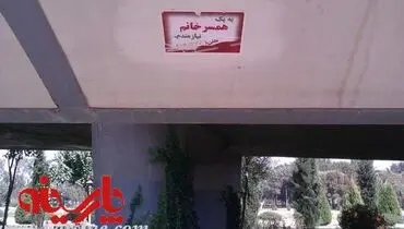 عکس/ آگهی درخواست همسر خانم یک ایرانی!