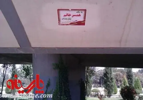 عکسی از عروسی شاه و ثریا در بهمن ۱۳۲۹ 