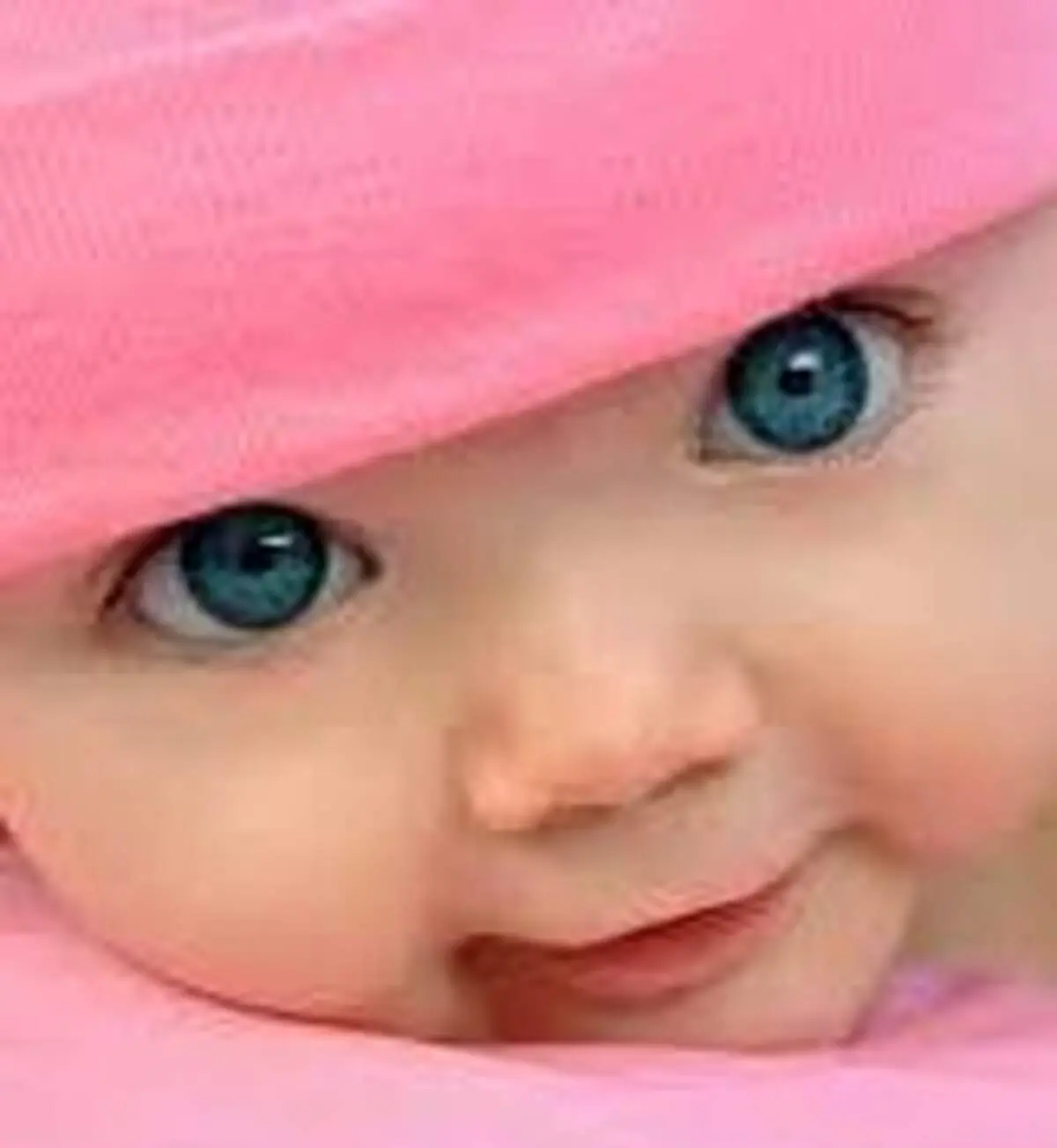 آن نوای ملتمسانه...