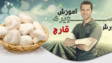 آبله مرغان چگونه منتقل می شود؟