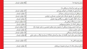 رویانیان گزارش مالی عملکرداش را منتشر کرد
