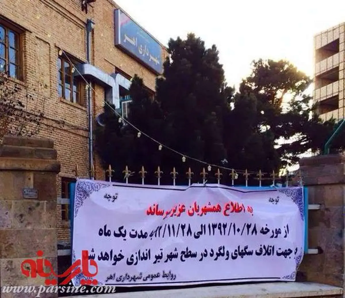 عکس/ اطلاعیه تیراندازی برای سگ کشی توسط شهرداری
