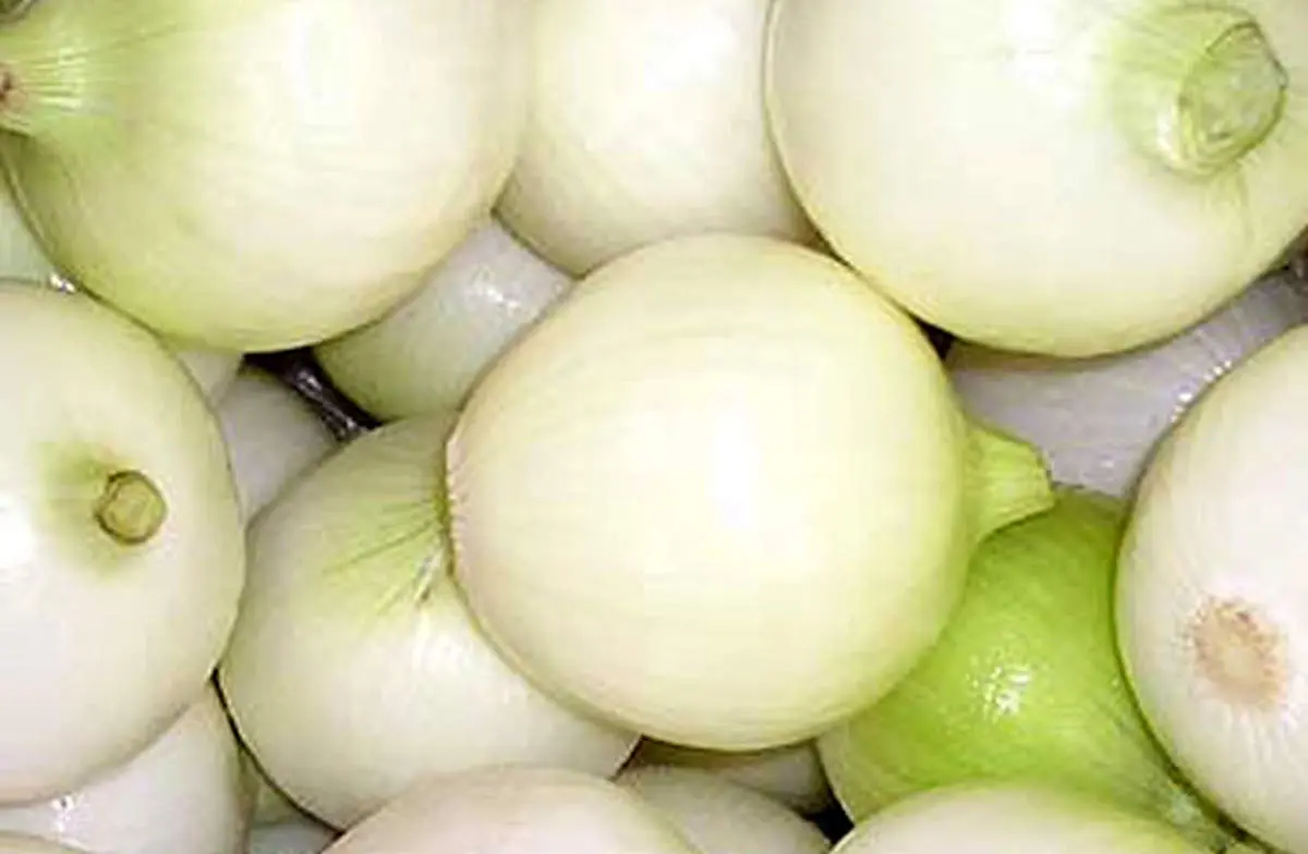 راز جوان ماندن (کاملا علمی)