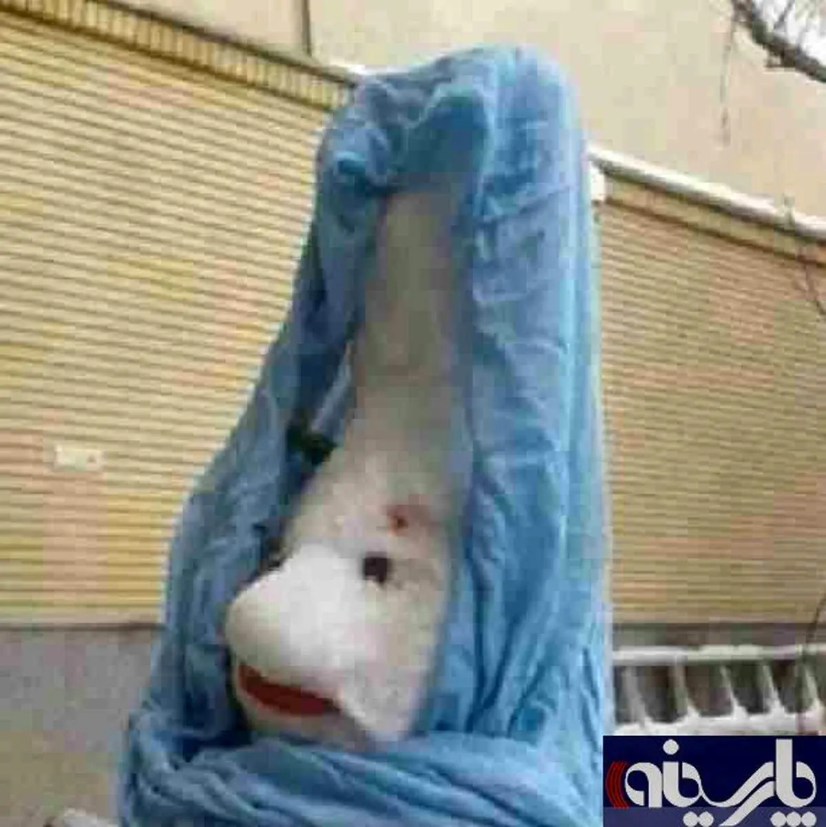 عکس:آدم برفی کلیپس دار!
