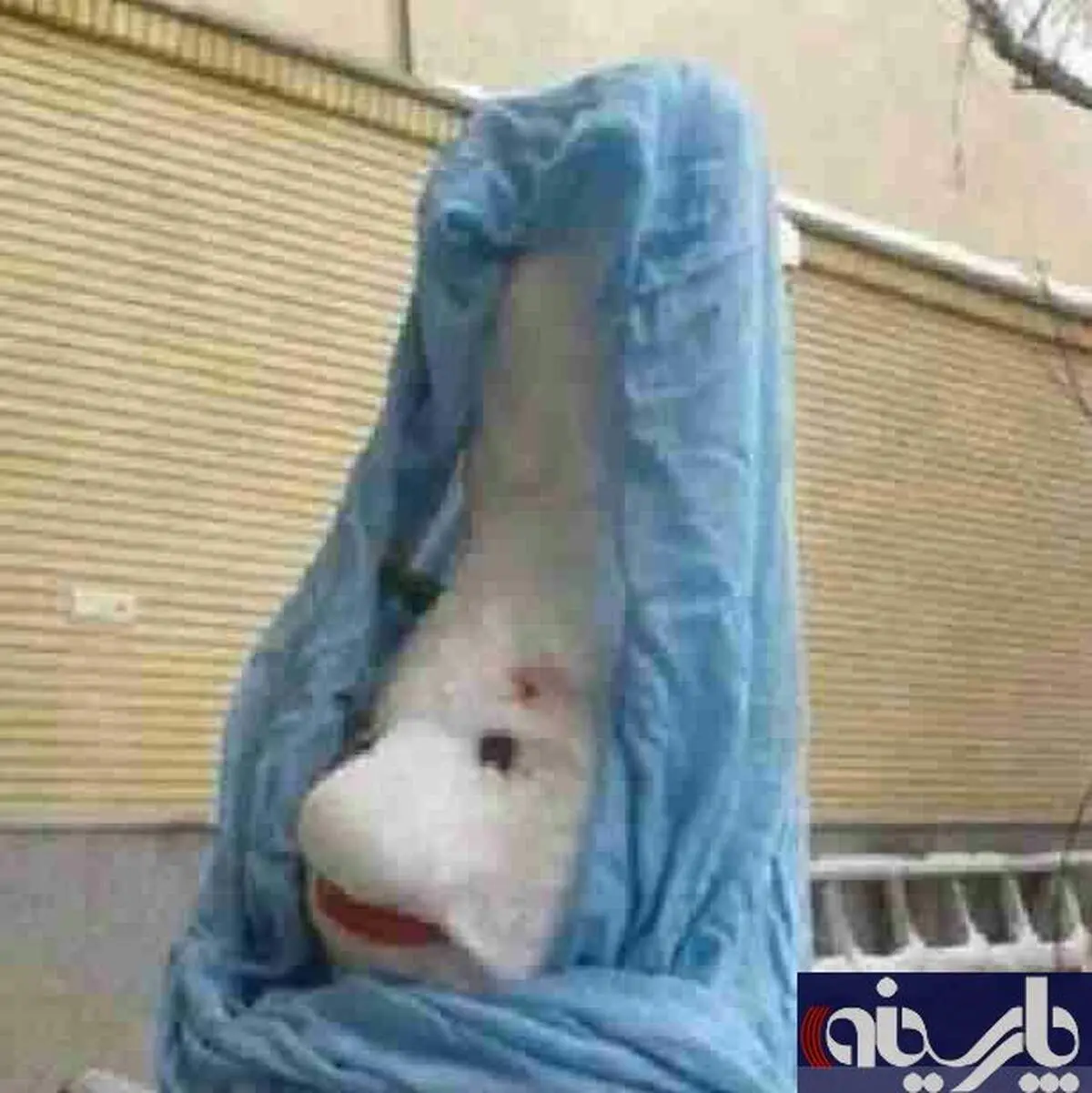 عکس:آدم برفی کلیپس دار!