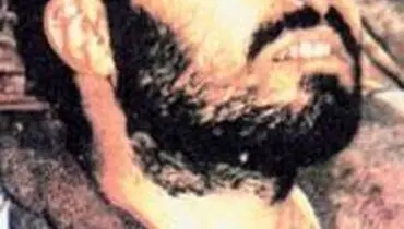 دستی در خاک، دستی در باد