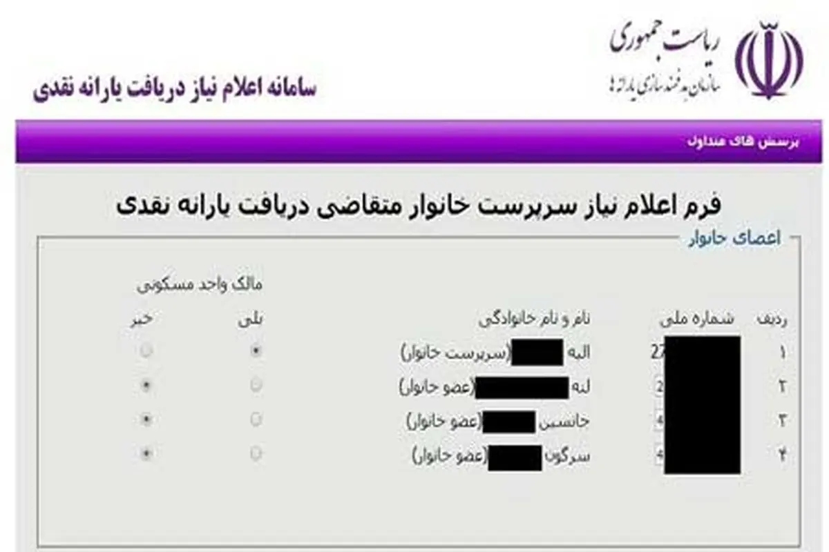 عکس/ یک فرم دریافت یارانه جالب