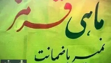 عکس:ضمانت جالب برای فروش ماهی قرمز عید!