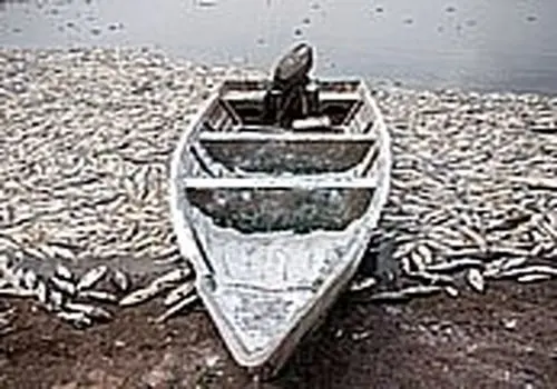 ترور رهبری و توهم خلأ قدرت؛ بازدارندگی ایران چگونه حفظ می‌شود؟