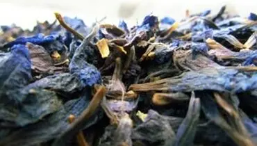 چند نکته در مورد گل گاوزبان