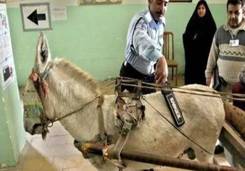 بازرسی بدنی عجیب داوطلب کنکور+ عکس
