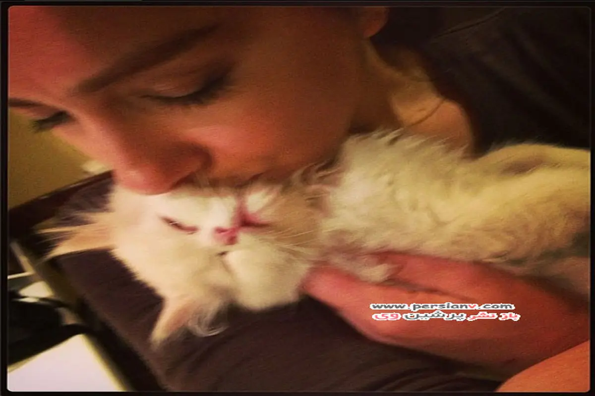 عکس/ بوسه هانیه توسلی به گربه اش