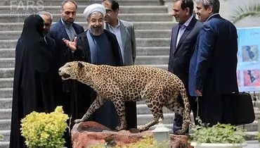 عکس/ رئیس جمهور در کنار یوزپلنگ ایرانی