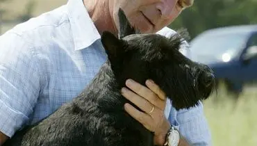 جرج بوش بیانیه داد: سگم مُرد