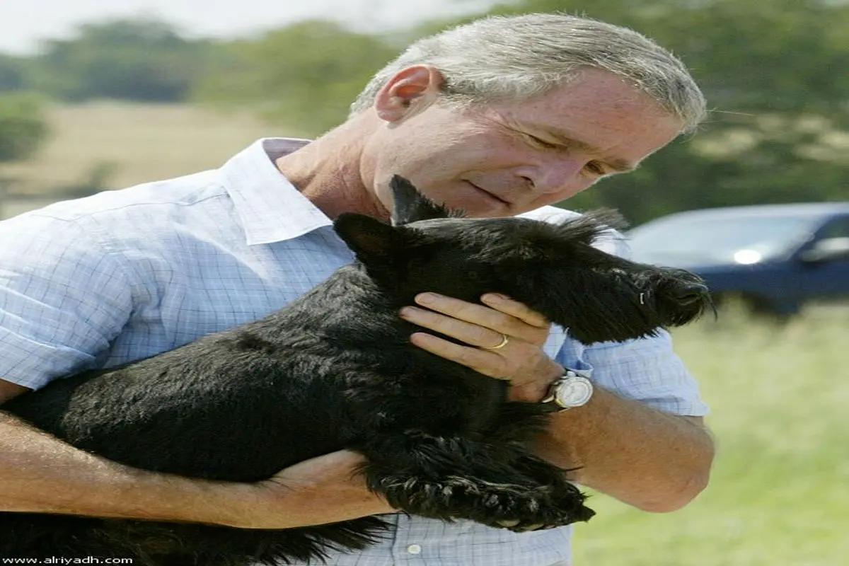 جرج بوش بیانیه داد: سگم مُرد