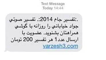 عکس: کسب درآمد از گزارش صوتی خیابانی از جام جهانی!