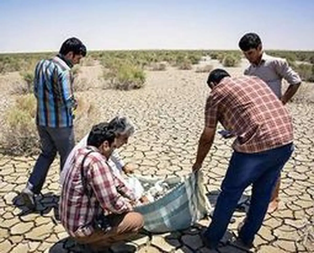 آن روزنامه پر تیراژ اصلاحات که نوشته بود "بازگشت زندگی به هامون " عذرخواهی می کند؟