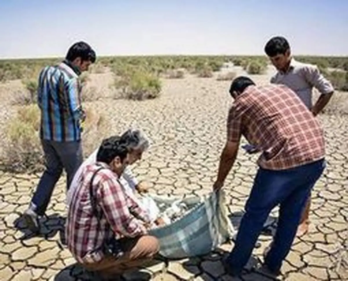 آن روزنامه پر تیراژ اصلاحات که نوشته بود "بازگشت زندگی به هامون " عذرخواهی می کند؟