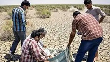 آن روزنامه پر تیراژ اصلاحات که نوشته بود "بازگشت زندگی به هامون " عذرخواهی می کند؟