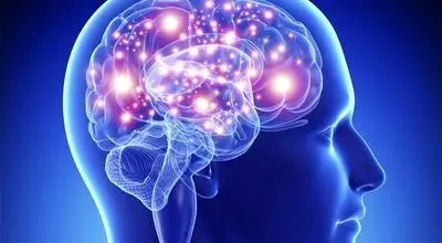 نگران مغزتان هستید؟ این اقدام ساده را در اولویت بگذارید