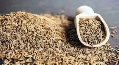  بهترین زمان اضافه کردن زیره به غذا 