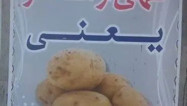 امر به معروف یعنی...!