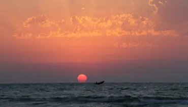 ماهیان دریای خزر، آلوده به سم کشاورزی