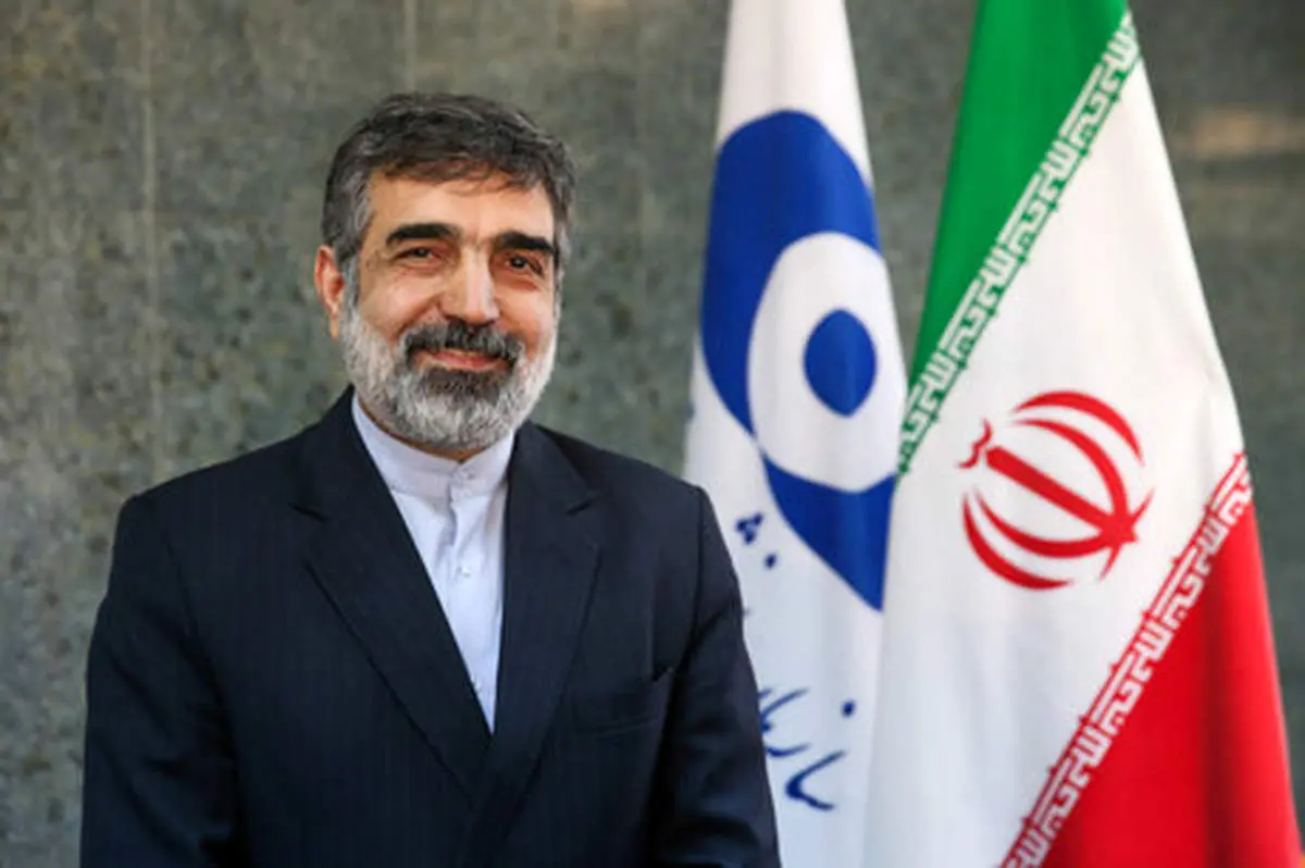 کمالوندی: اطلاعات درست به آژانس دادهایم