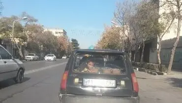 حفاظت از شله!/مشهد
