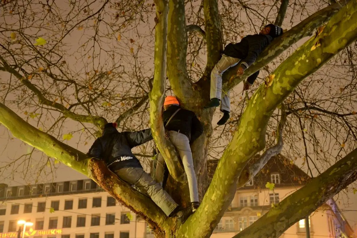 وقتی پناهندگان به بالای درخت پناه میبرند