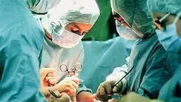 زیبایی به بهای نابودی!