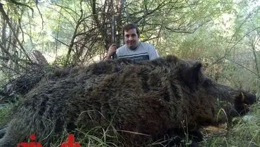 گراز عظیم الجثه شکار شده در طالقان