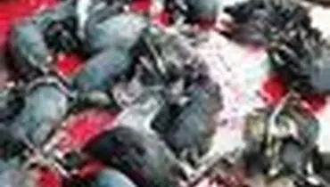 مبلغ جریمه شکار غیر مجاز در ایران