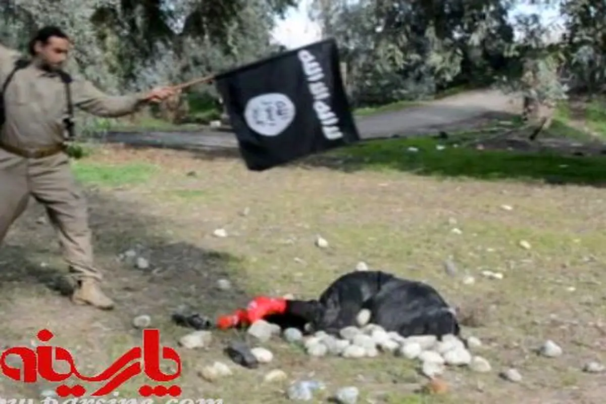 سنگسار یک زن توسط داعش