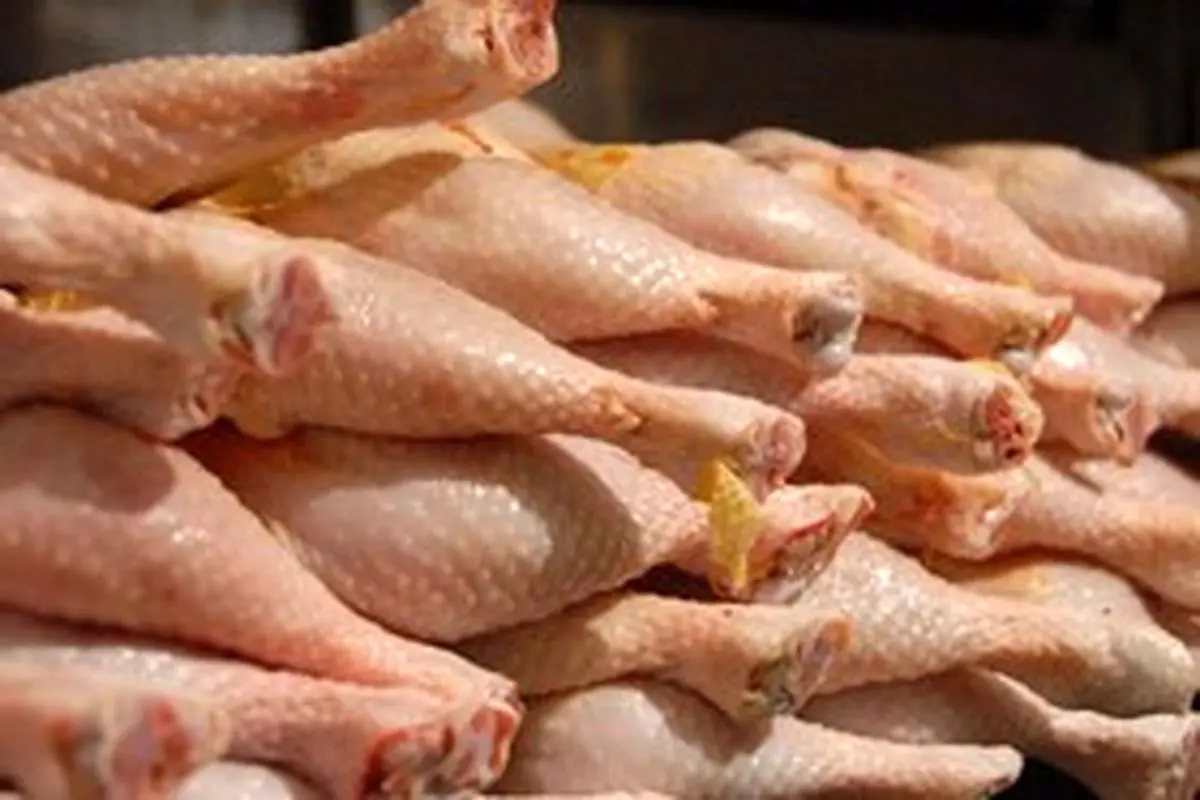 میزان سرب موجود در مرغ بیشتر از حد استاندارد است