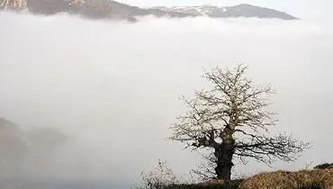 به نظر ما احترام بگذارید