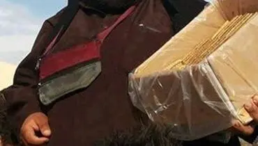 شغل برادر اسماعیل هنیه در غزه