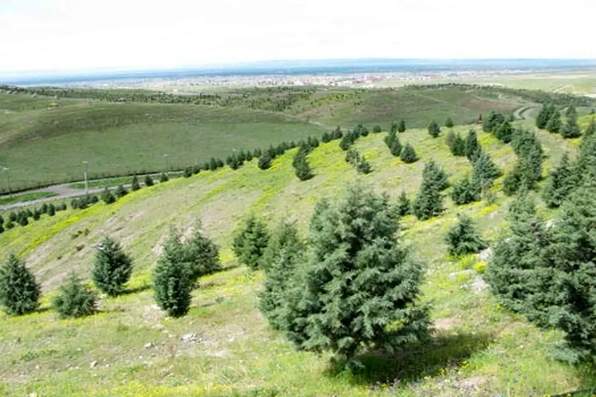 بزرگترین پارک های جنگلی ایران