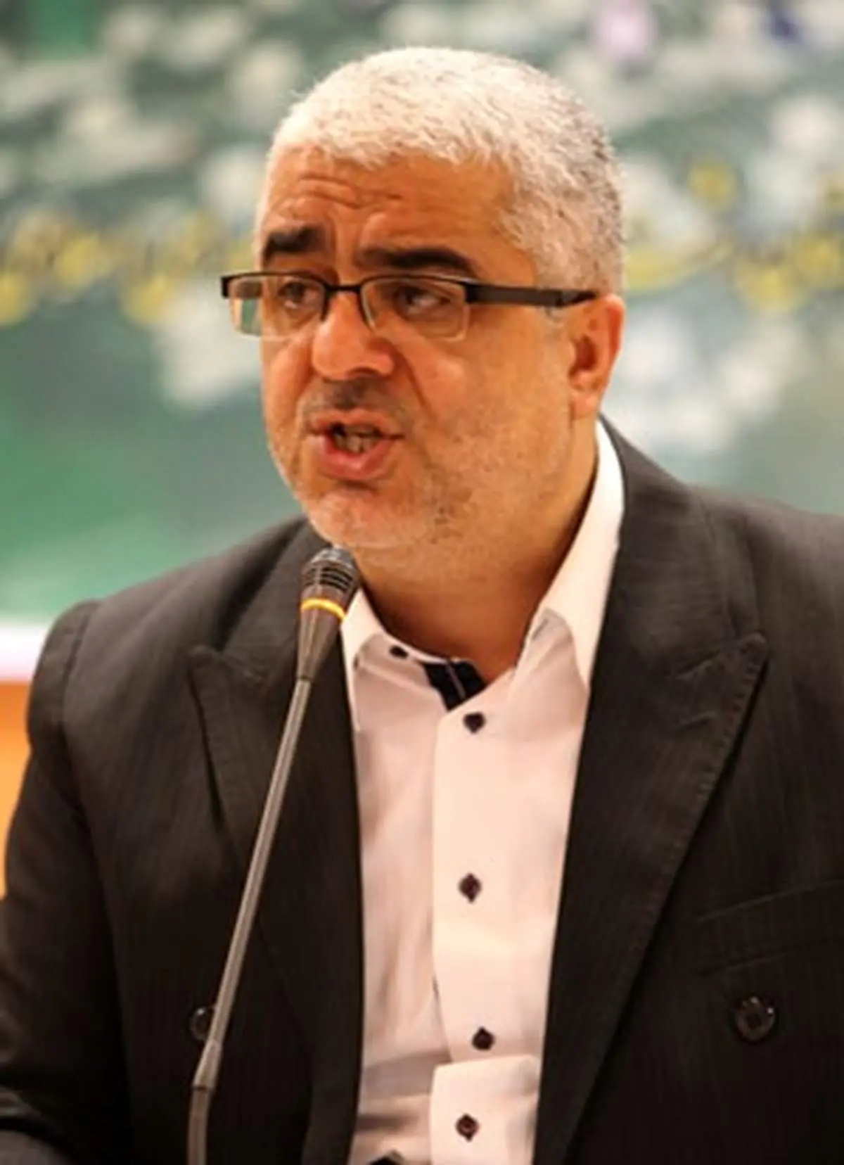 منتقدان مطهری٬ مخالف شکایت از نمایندگان متخلف در پرونده رحیمی هستند