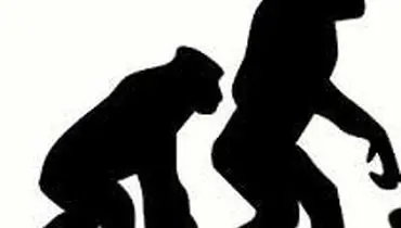 ۱۰ افسانۀ رایج علمی