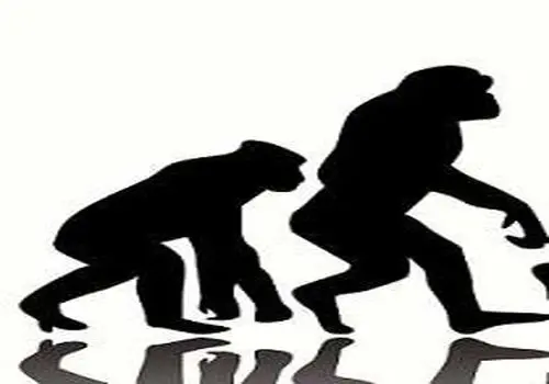 ورزش‌هایی که مغز را بازسازی می‌کنند: توصیه‌های یک متخصص آلزایمر