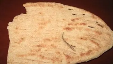 پیدا شدن دم مارمولک در نان بربری + تصویر