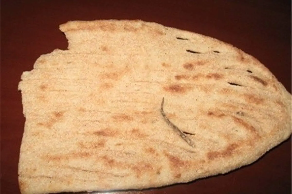 پیدا شدن دم مارمولک در نان بربری + تصویر