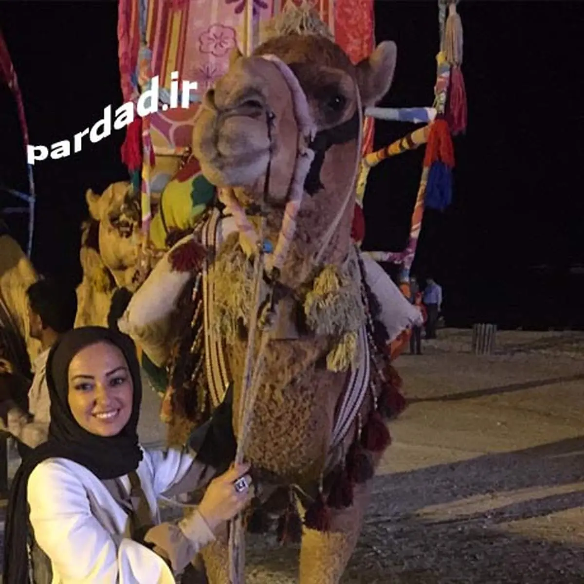 نفیسه روشن:تا بحال شتر ندیده بودم/تصاویر