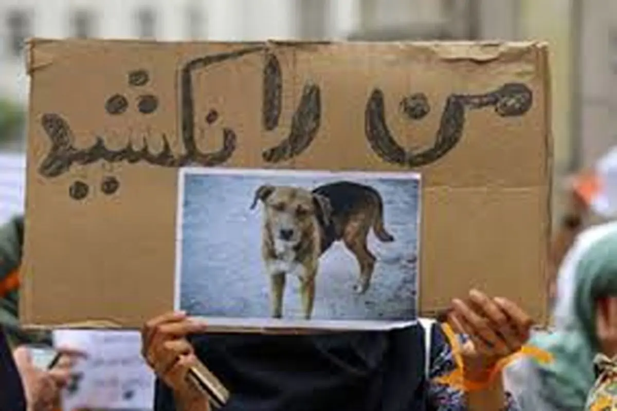 پدیده ای به نام " جوگیری در اعتراض به سگ کشی"!