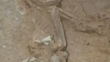 روش حفظ اسکلت زن 7 هزارساله تهران