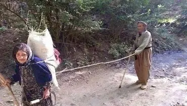 عکس:بدون شرح...!